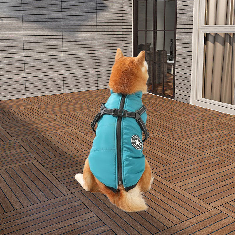 🐾Hundkappa för vintern