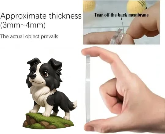 Border Collie Adventskalender 2026