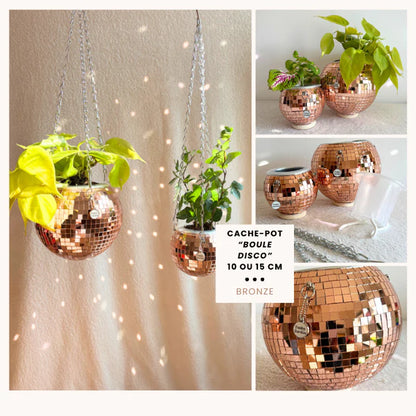 Hängande planteringskärl för discokula