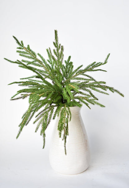 🎄Beautiful Christmas Special 49 % 🎄Norfolk Pine Branch