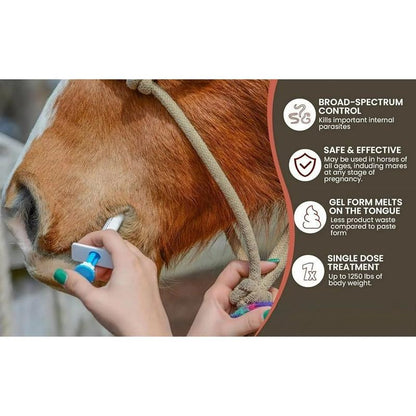 🔥Sista dagen 49% rabatt - ivermectin hästpasta 1,87% 6.08 g rör