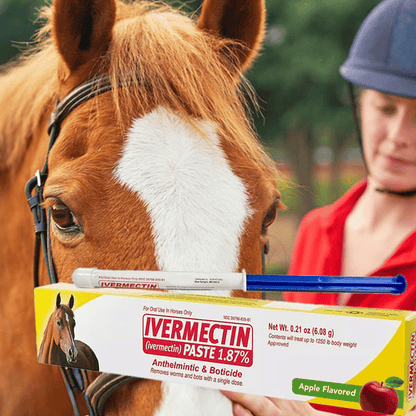 🔥Sista dagen 49% rabatt - ivermectin hästpasta 1,87% 6.08 g rör