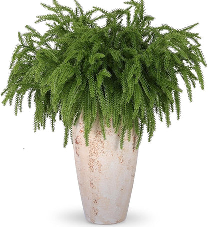 🎄Beautiful Christmas Special 49 % 🎄Norfolk Pine Branch