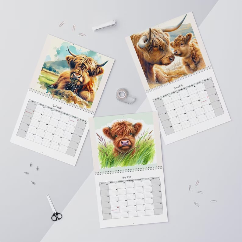 🐮2026 Highland Cattle-kalender📅