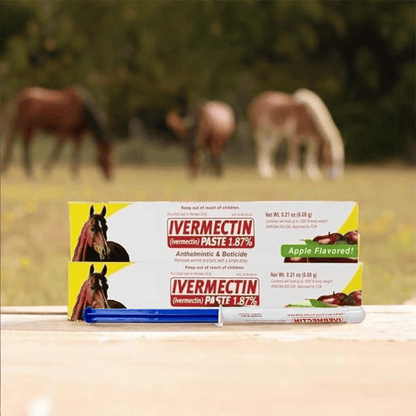 🔥Sista dagen 49% rabatt - ivermectin hästpasta 1,87% 6.08 g rör